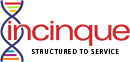 Incinque