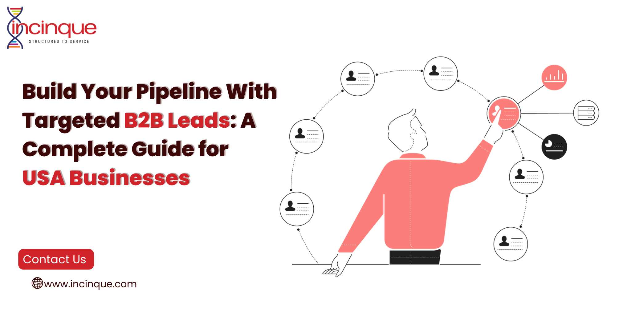 "Build Your Pipeline With Targeted B2B Leads: A Complete Guide for USA Businesses" by Incinque, featuring an illustration of a professional selecting customer profiles.